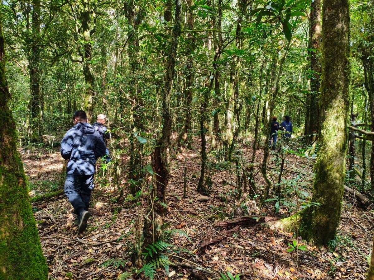 Balai Besar Konservasi Sumber Daya Alam (BBKSDA) Sulawesi Selatan meningkatkan pengawasan di kawasan Taman Wisata Alam (TWA) Malino, Kabupat