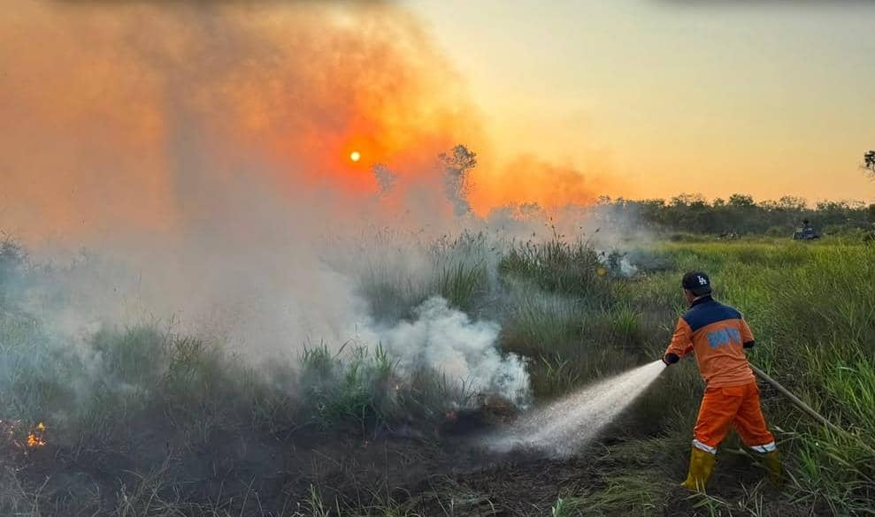 Petugas BPBD saat berjibaku memadamkan api di wilayah Seteko.