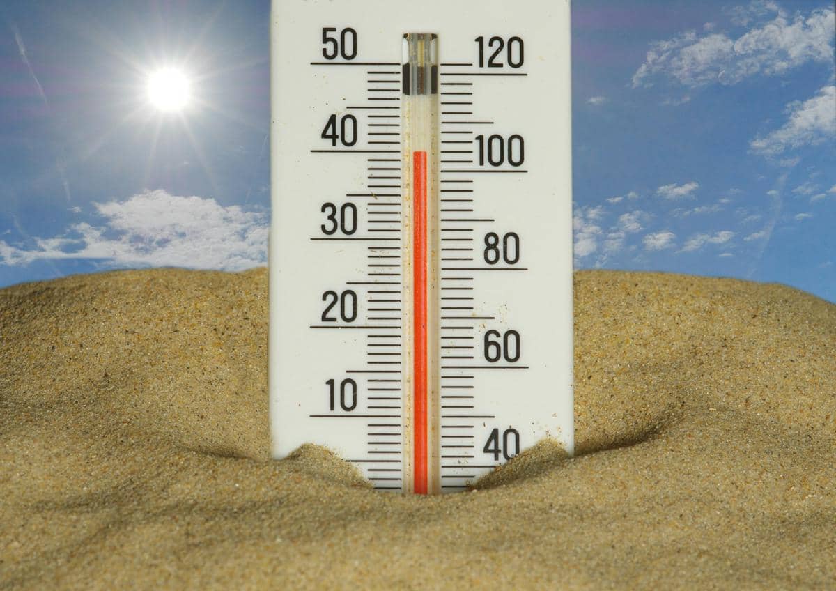 Austria Pecahkan Rekor Suhu Nasional, Capai 41,2 Derajat Celsius