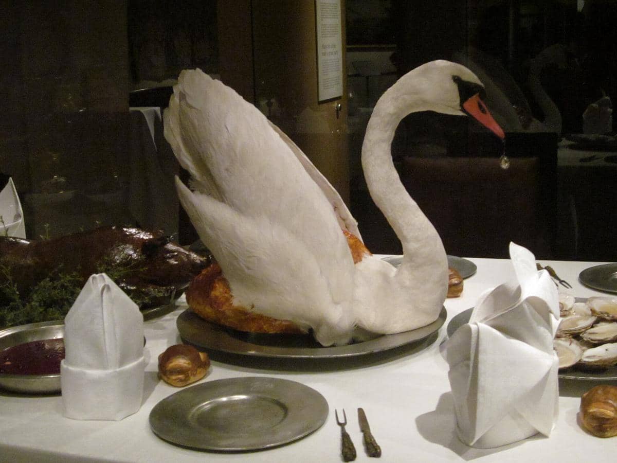 ilustrasi roast swan