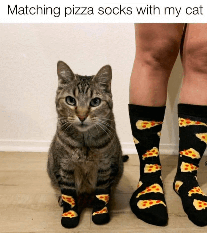 meme kucing tentang kaus kaki