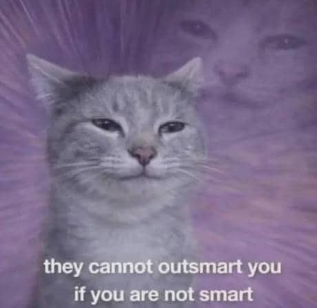 meme kucing pintar