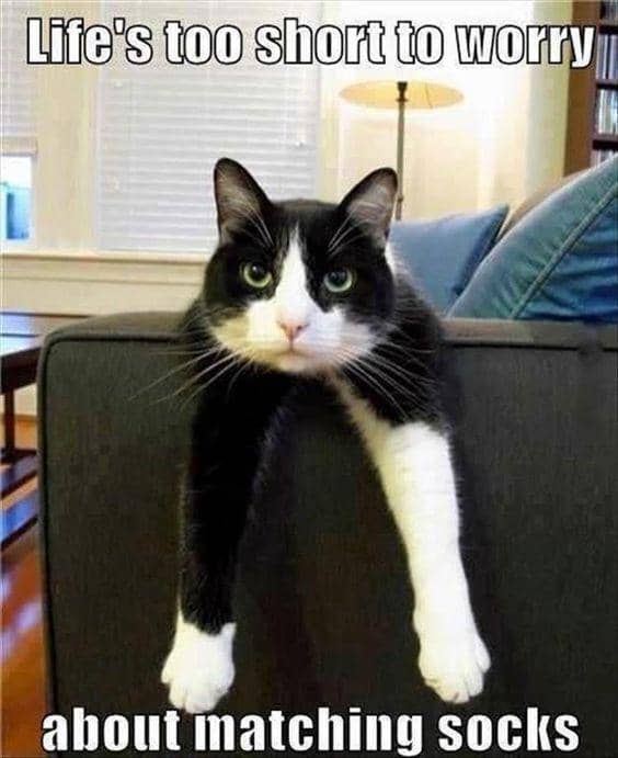 meme kucing tentang kaus kaki