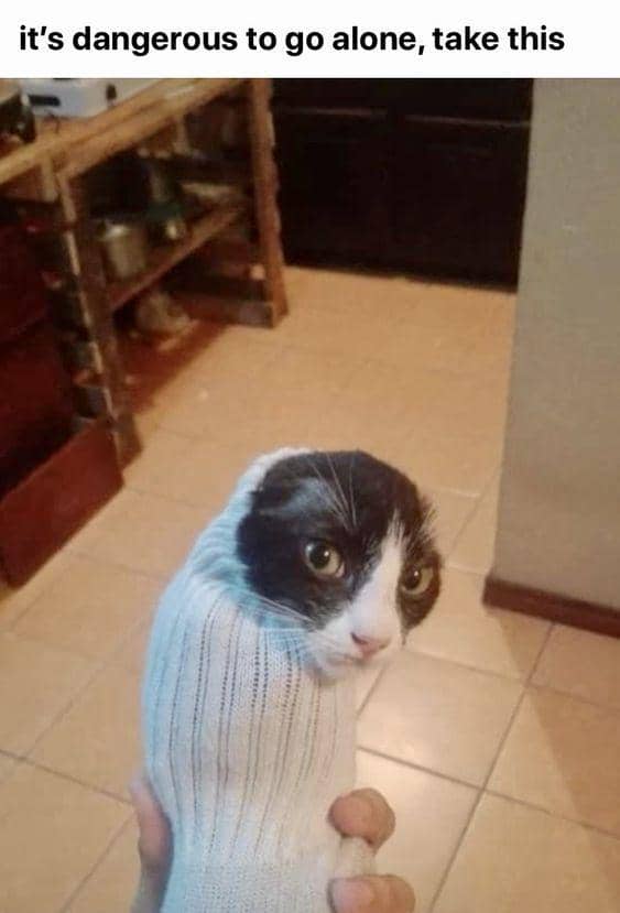 meme kucing tentang kaus kaki