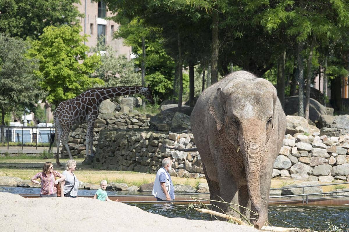 ARTIS Amsterdam Royal Zoo