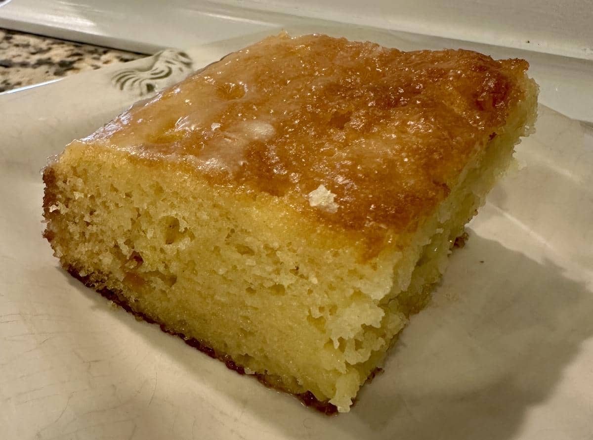 ilustrasi malva pudding