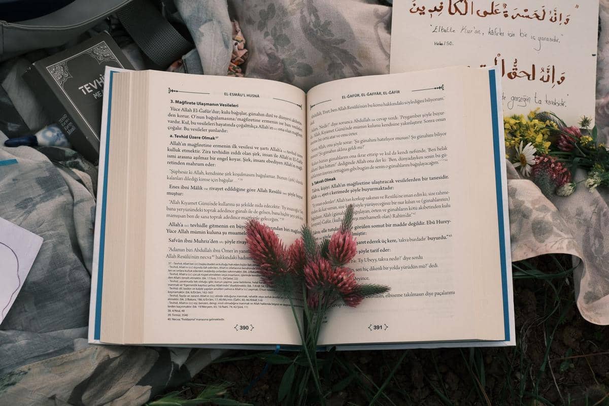melohat detail isi buku
