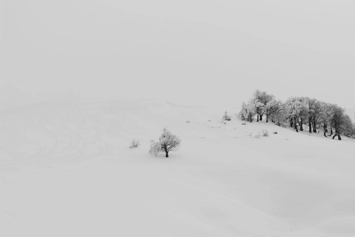 Ilustrasi whiteout