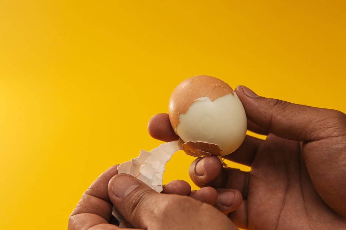 5 Tips Merebus Telur agar Mudah Dikupas, Gak Banyak Terbuang!