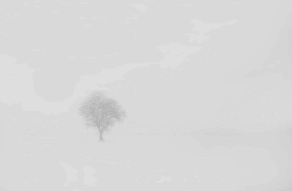 Ilustrasi whiteout
