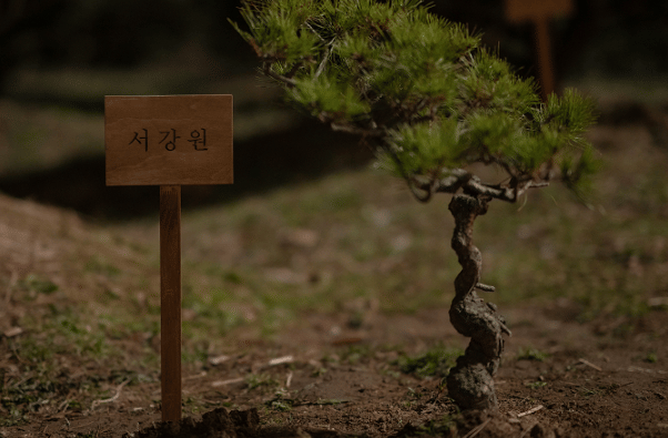 still cut drama Korea The Apartment Job