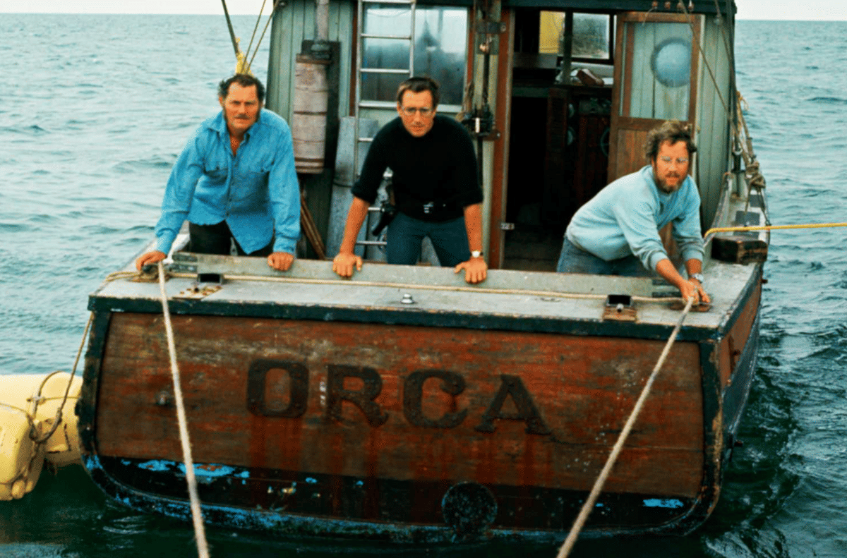 Jaws