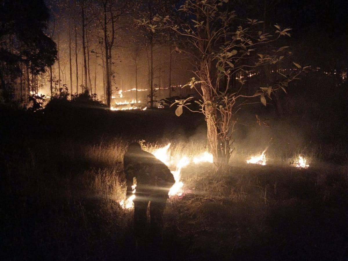 2 Hektare Lahan Hutan Jati Perhutani di Cirebon Kebakaran