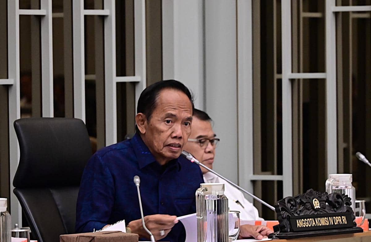 Pemadaman PLN di Kalteng Picu Amarah Peternak, Bangkai Ayam Dikirim