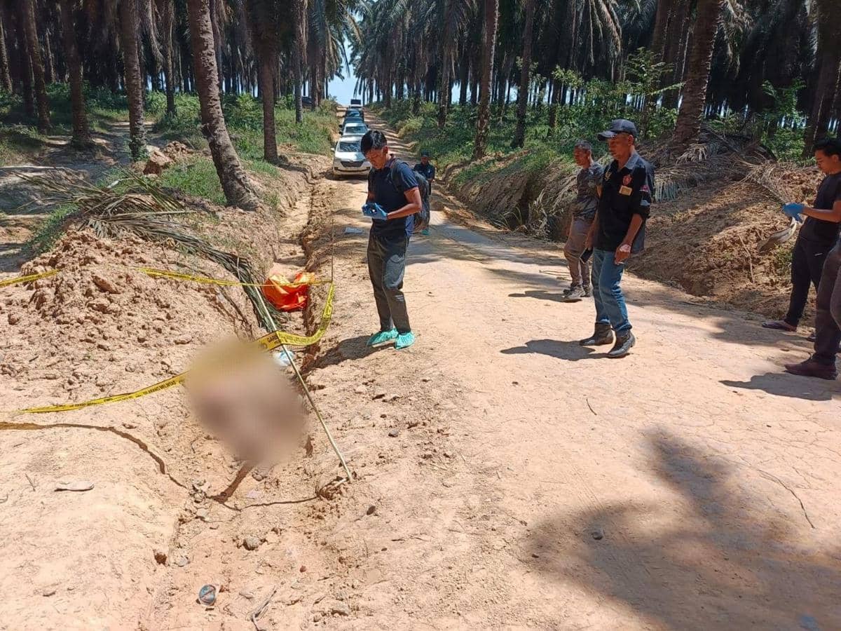 Warga Palembang Ditemukan Tewas di Parit Kebun Sawit Keluang Muba