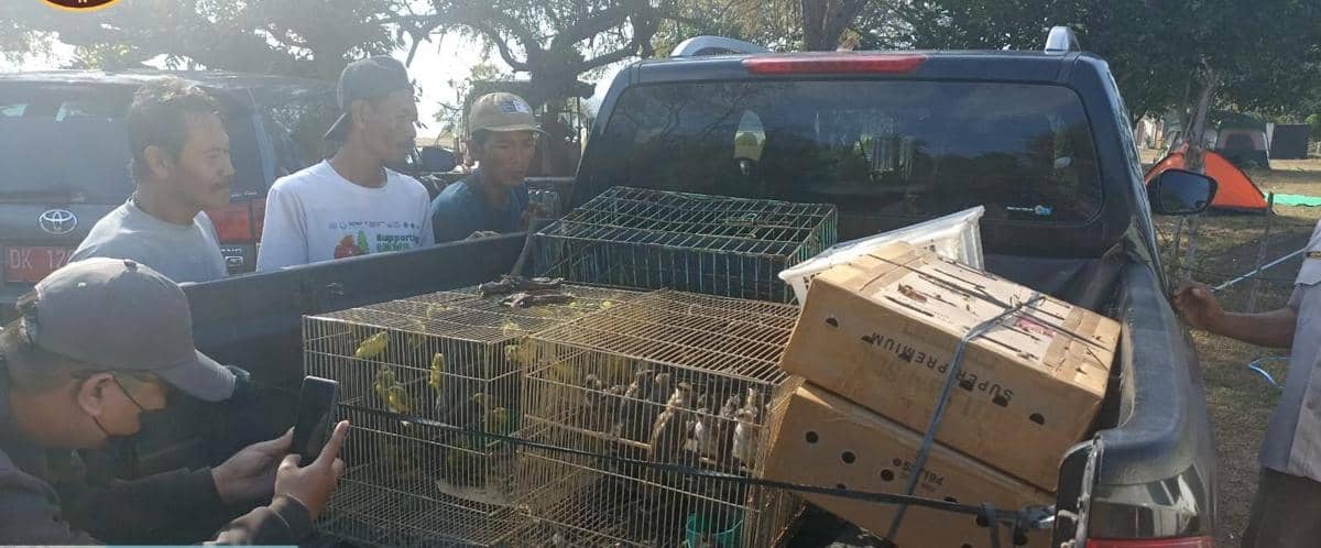 Karantina Bali Gagalkan Pengiriman Ilegal 284 Burung ke Jateng