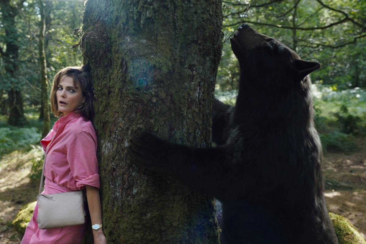 adegan dalam film Cocaine Bear