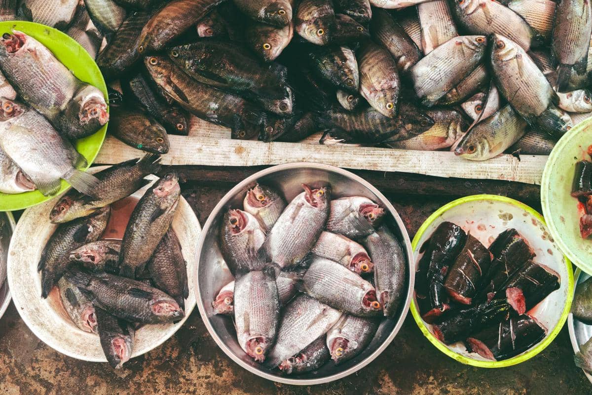 5 Olahan Ikan Air Tawar Khas Kalimantan yang Wajib Dicoba