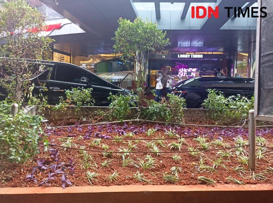 Pagar Tinggi Blok M Plaza Hilang, Diganti Tanaman Hias