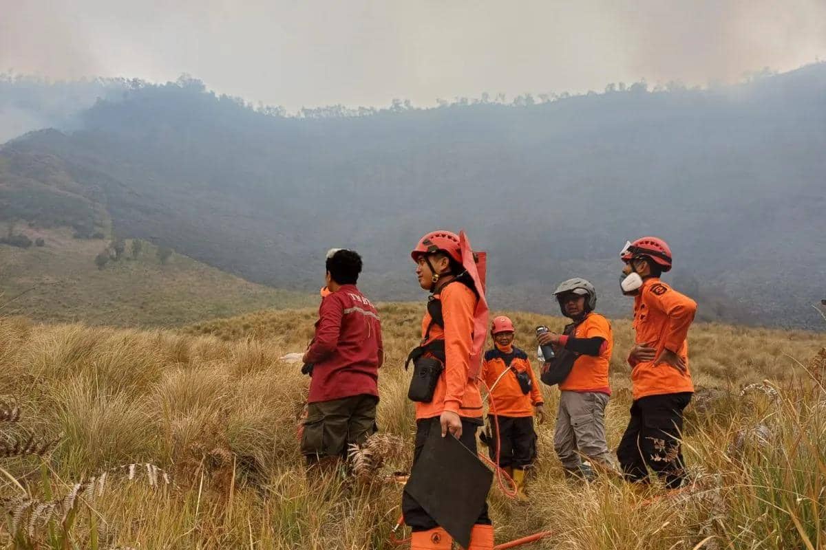 Kenapa kebakaran Bromo cepat menyebar