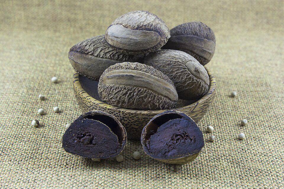 Ilustrasi buah kluwek berwarna cokelat tua dengan kulit keras, bahan masakan yang dikenal juga sebagai keluak atau pangium.