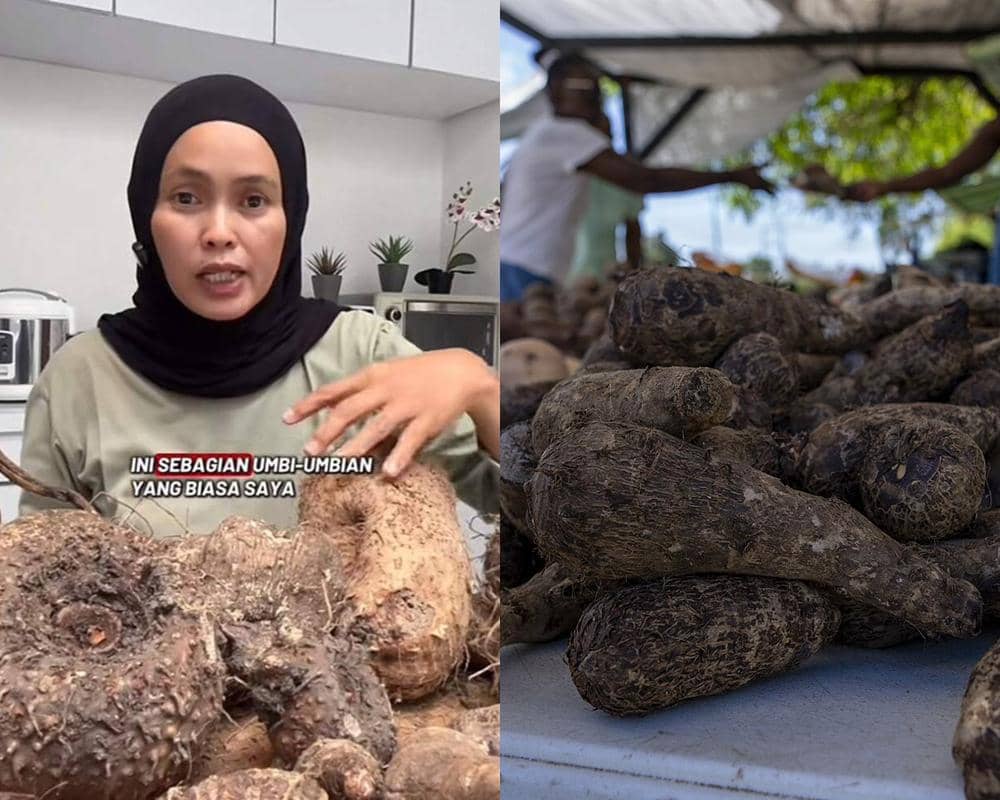 Apa Itu Kimpul? Umbi Lokal yang Tengah Viral di Media Sosial