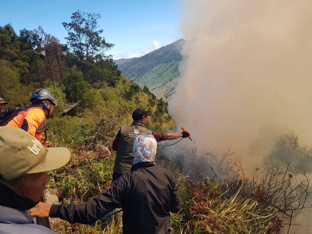Karhutla di Kawasan Gunung Bromo Meluas, Sekarang Sudah 10 Hektare