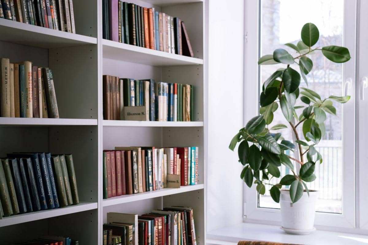 ilustrasi perpustakaan mini di rumah
