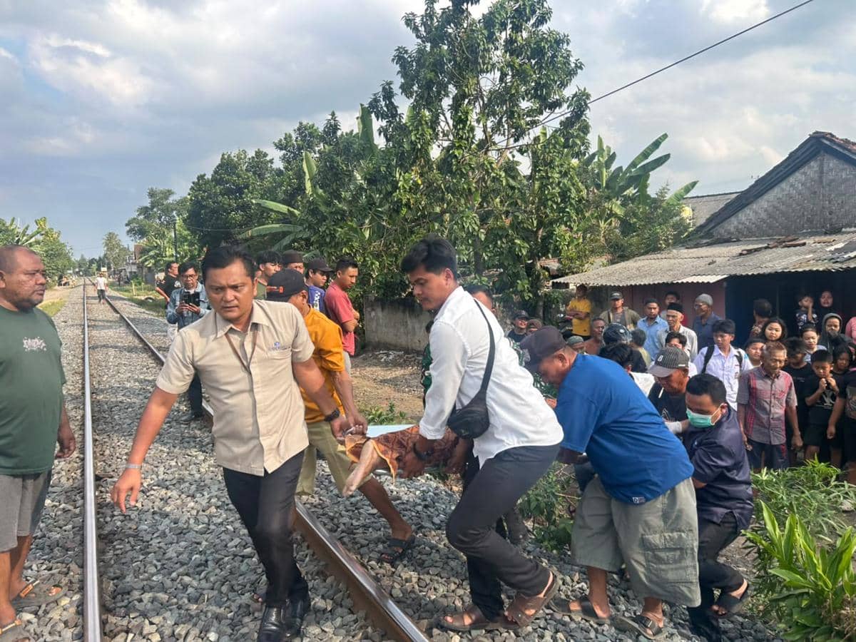 Cari Anak Bermain di Rel, IRT di Lamsel Tewas Ditabrak KA Babaranjang