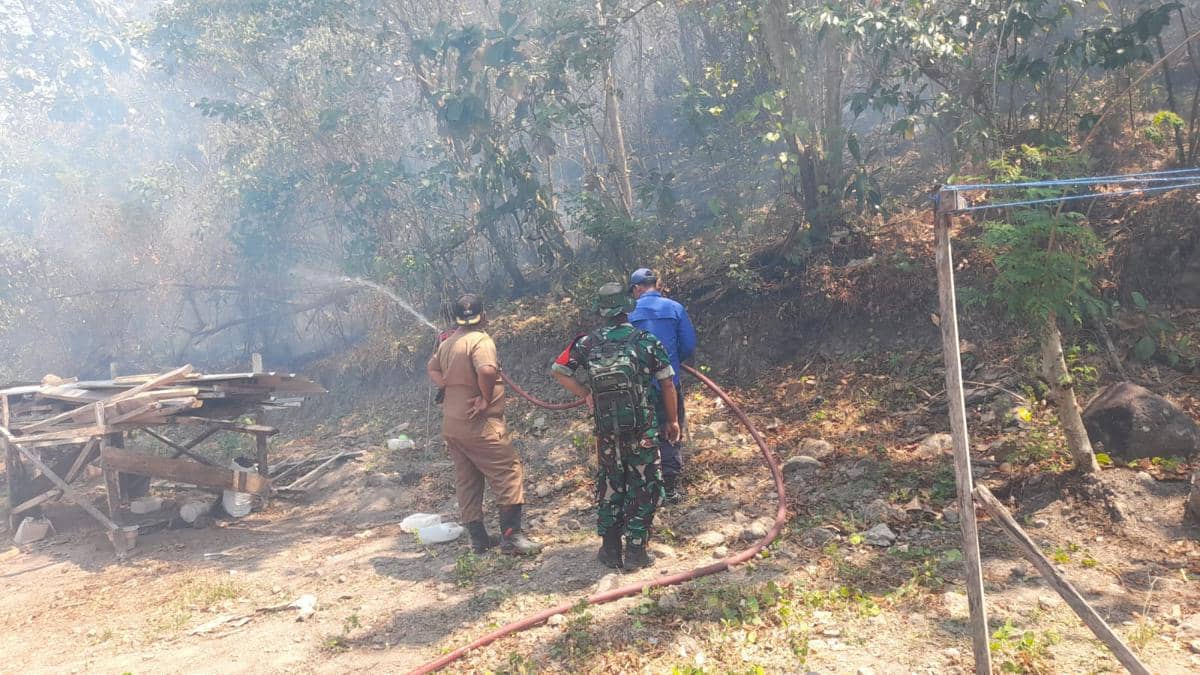 Karhutla Landa Sulsel dan Sulteng, 23 Hektare Lahan Hangus