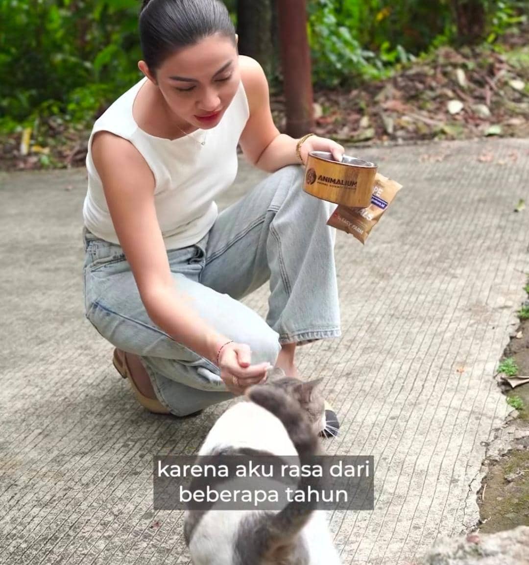 potret Ariel Tatum gelar sterilisasi gratis untuk ratusan kucing