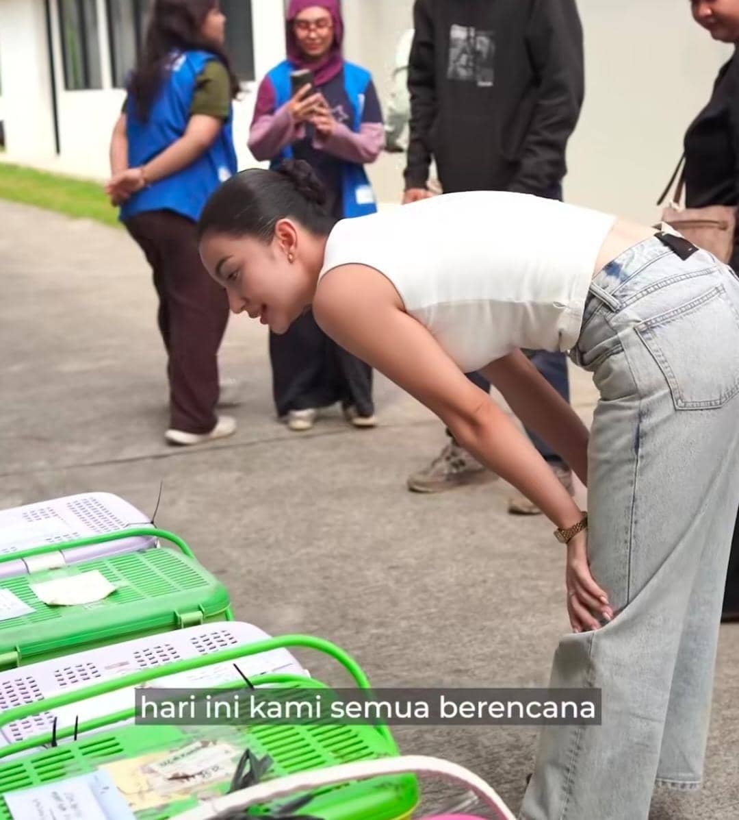 potret Ariel Tatum gelar sterilisasi gratis untuk ratusan kucing