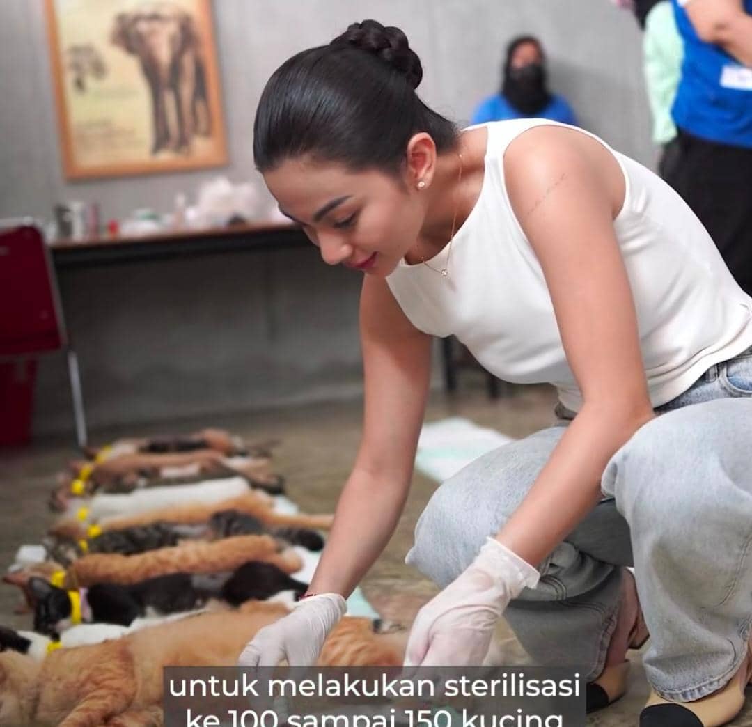 potret Ariel Tatum gelar sterilisasi gratis untuk ratusan kucing