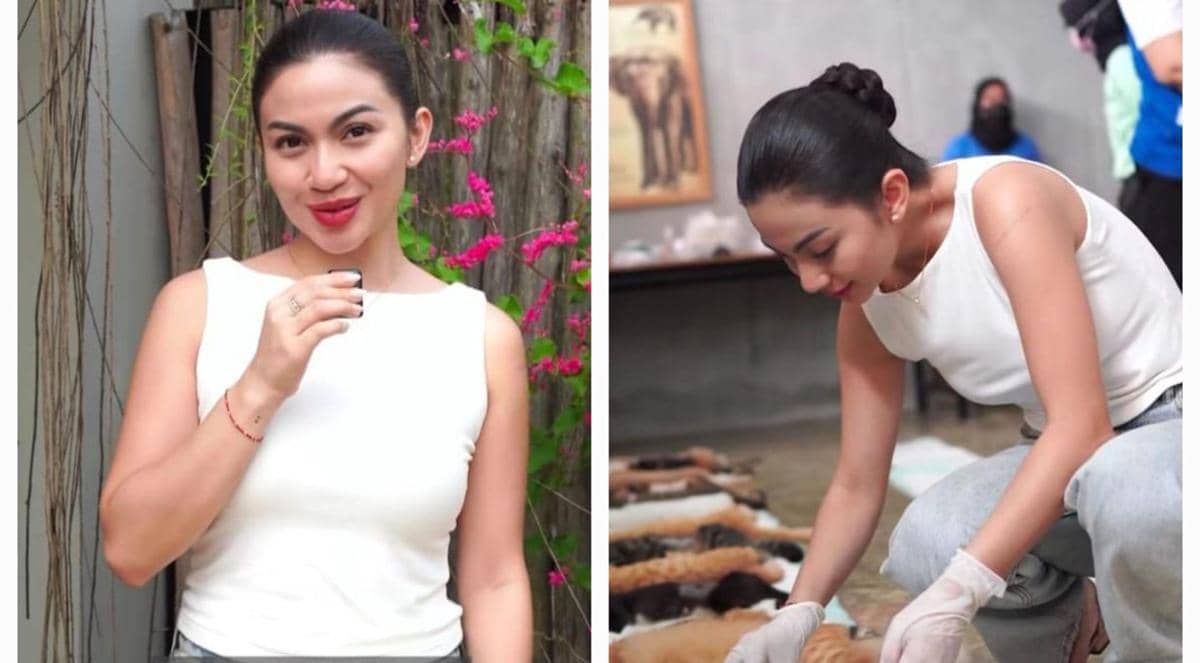 9 Potret Ariel Tatum Gelar Sterilisasi Gratis untuk Ratusan Kucing