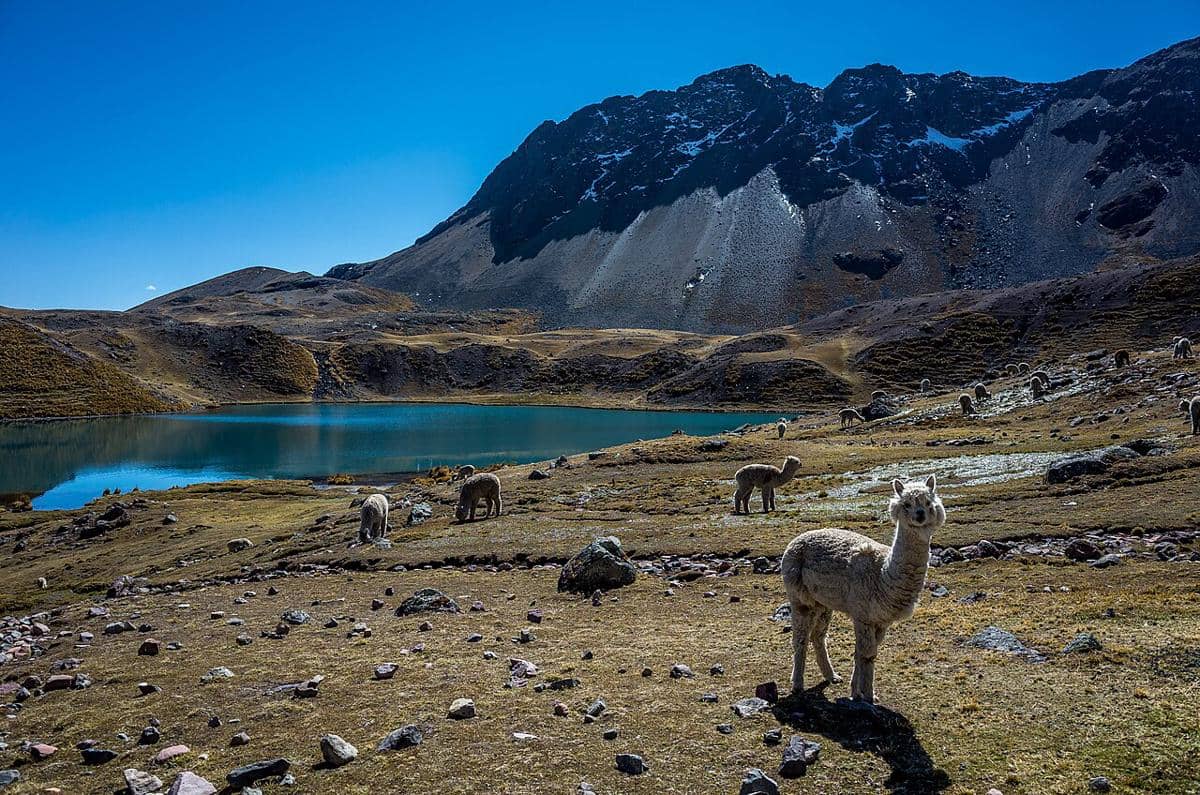 Gunung Ausangate, Peru