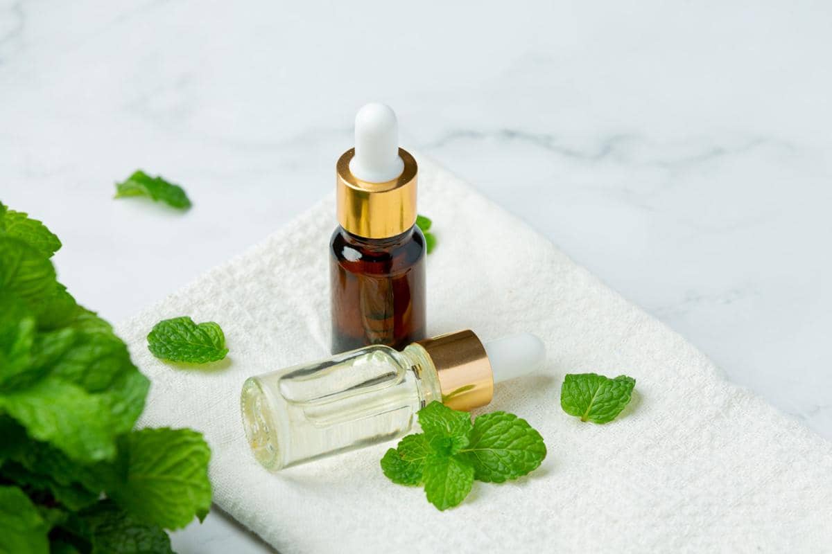 ilustrasi parfum dengan aroma mint