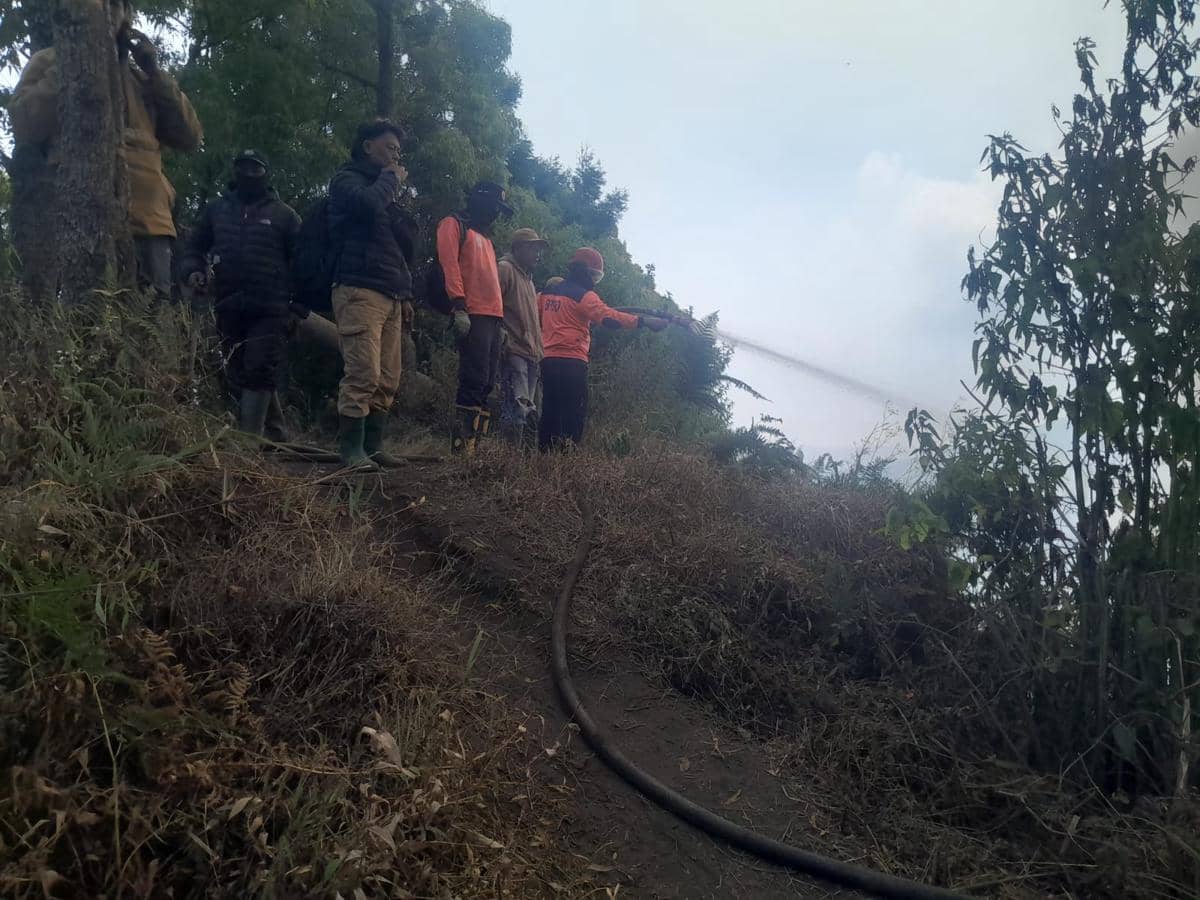 Petugas BPBD Kabupaten Malang berupaya memadamkan api di lahan yang terbakar di kawasan Gunung Bromo.