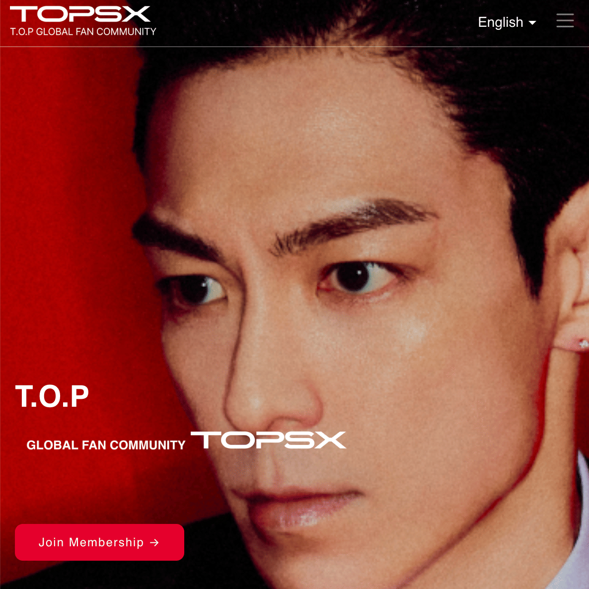 Materi visual terkait situs web TOPSX dengan alamat top-official.co berdasarkan keterangan yang diberikan.