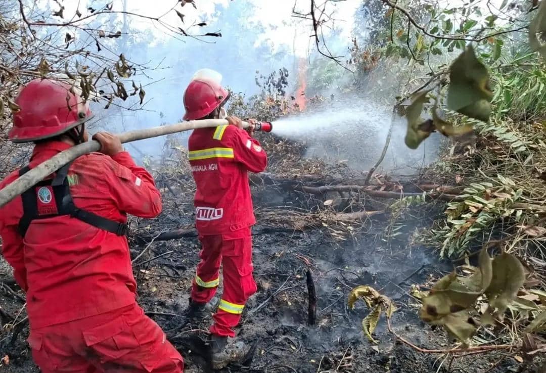 Tim Manggala Agni Daops Sum-XV/Muba saat berjibaku melakukan pemadaman.