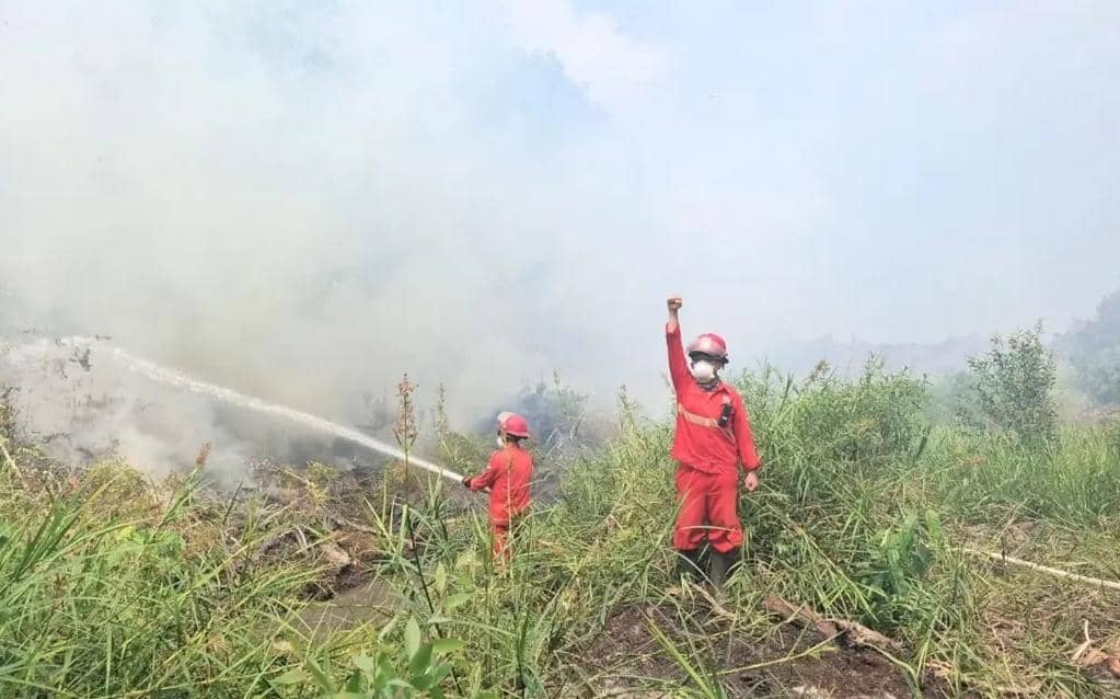 Warga Sekayu Keluhkan Bau Asap, DLH Sebut Udara Masih Kategori Sedang