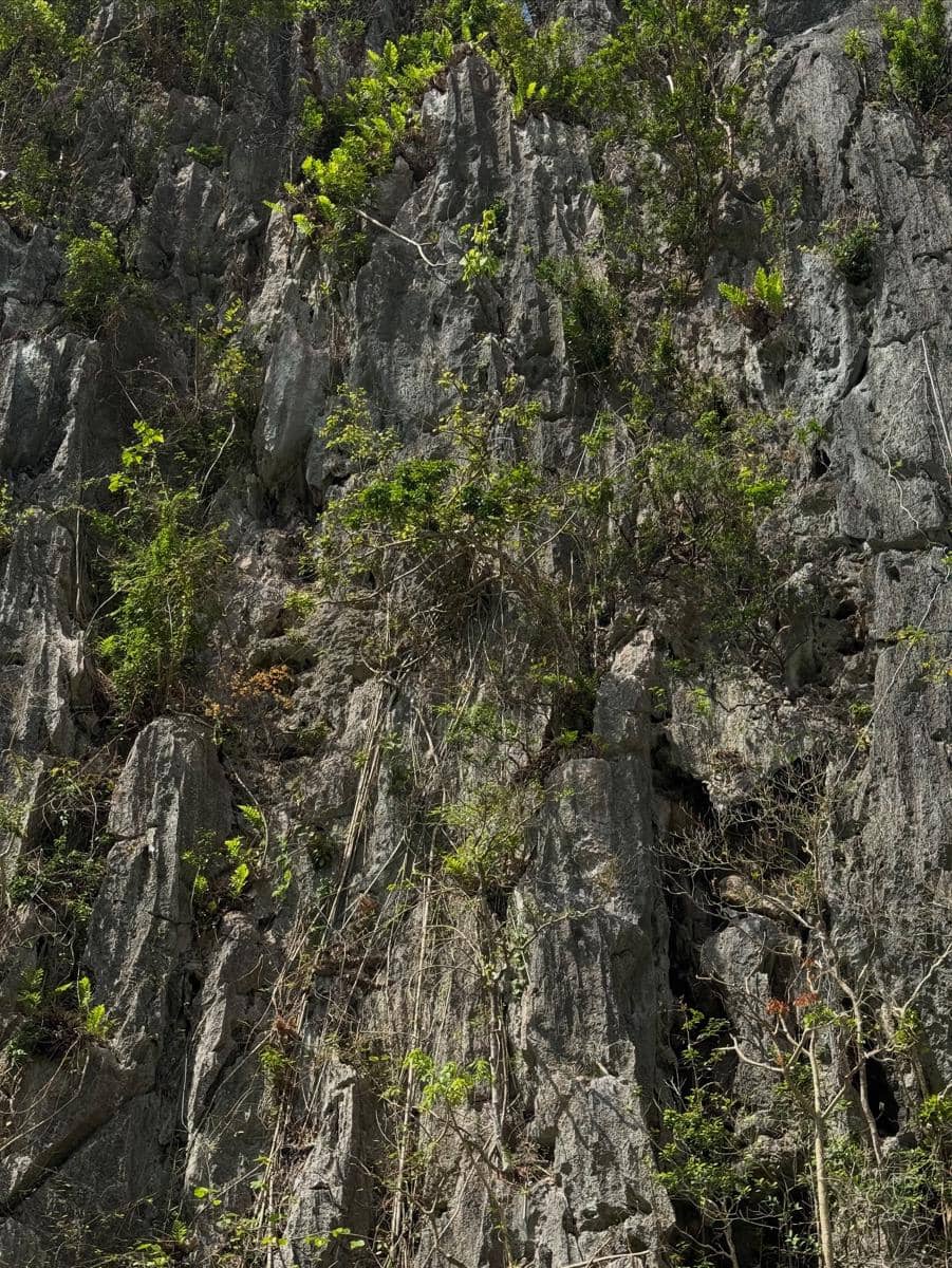 Shalom Razade berlibur di Pulau Palawan