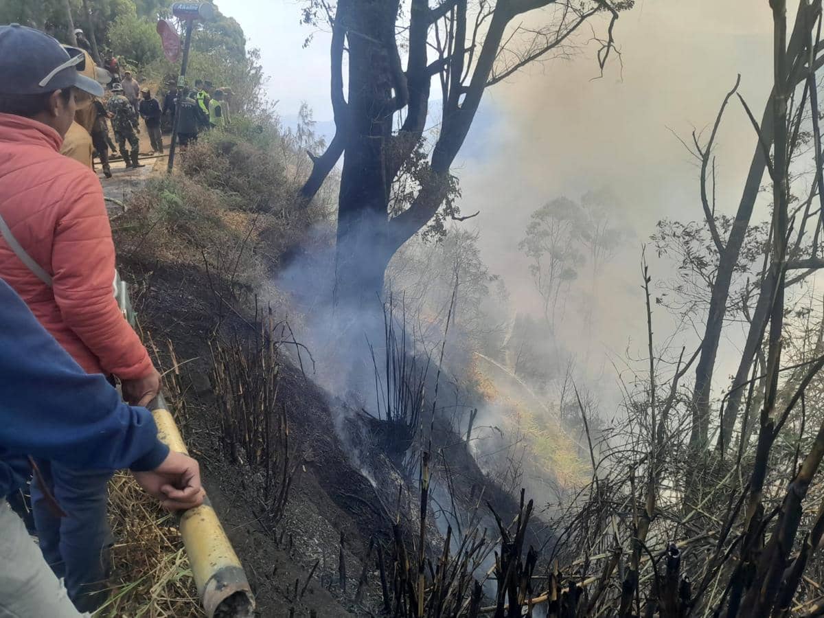 Petugas berupaya memadamkan api di kawasan Gunung Bromo, Kabupaten Malang, dalam penanganan kebakaran.