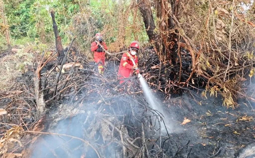 Tim Manggala Agni Daops Sum-XV/Muba saat berjibaku melakukan pemadaman.