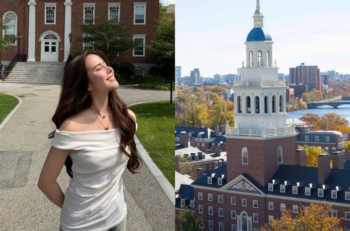 Profil Universitas yang Menerima Agatha Chelsea S2, NYU hingga Harvard