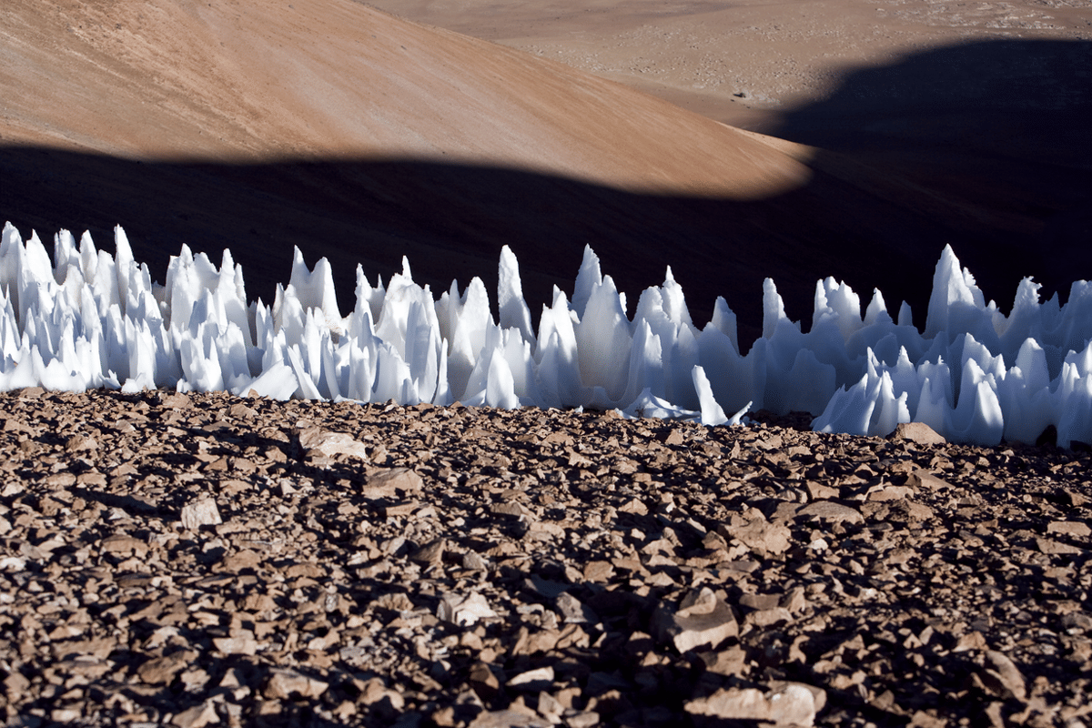 Penitentes