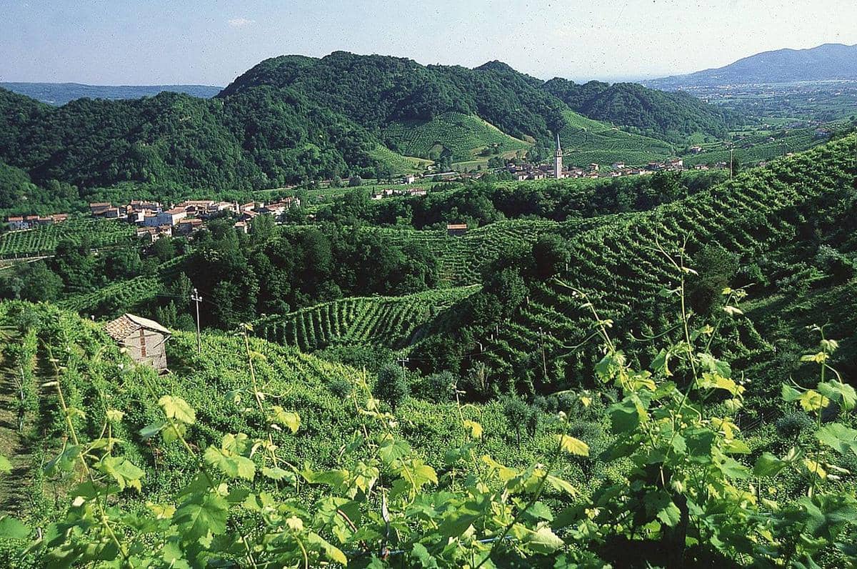 Le Colline del Prosecco di Conegliano e Valdobbiadene