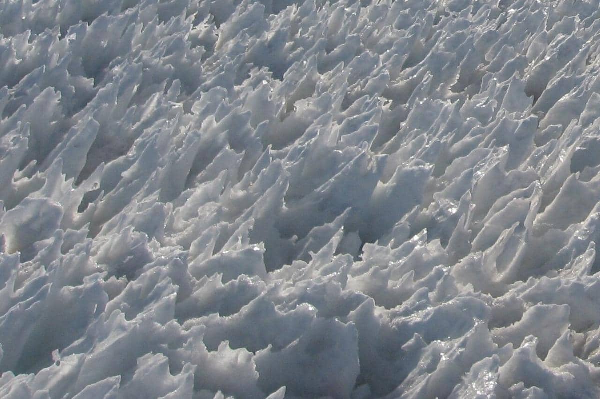 Penitentes