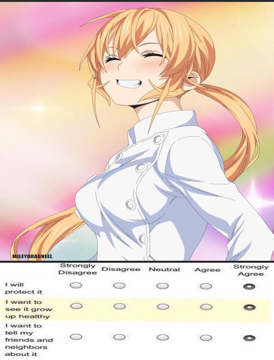 meme anime tentang senyuman memikat