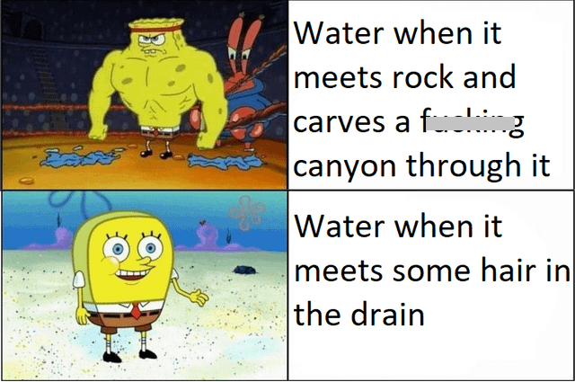 8 Meme SpongeBob tentang Standar Ganda, Agak Lain, ya!