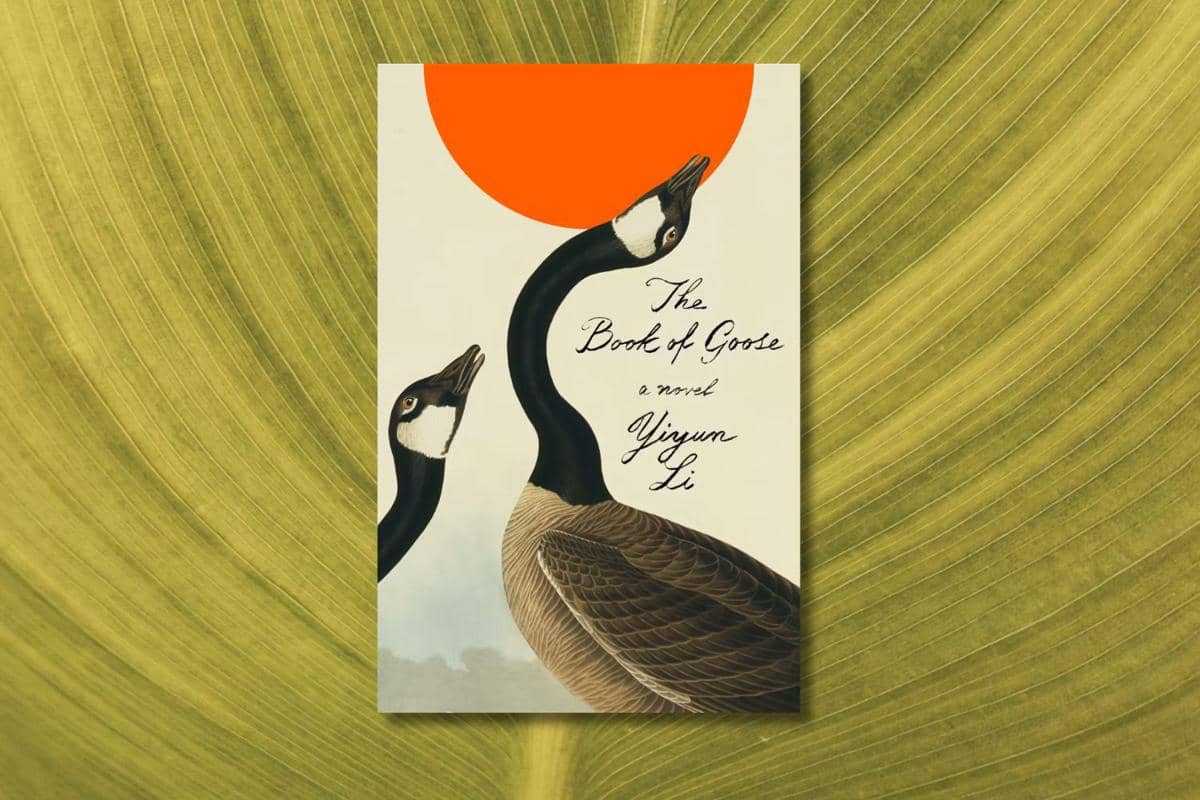 The Book of Goose karya Yiyun Li